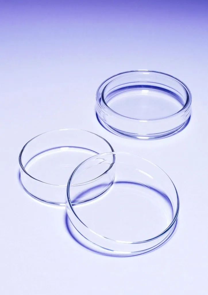 Boîtes de Petri en verre Pyrex, Ø 80 mm — lot de 10
