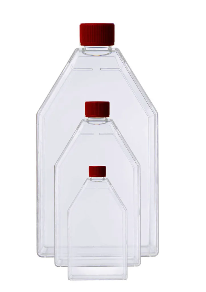 Flacon de culture cellulaire LABSOLUTE, bouchon à vis filtrant, 250 mL — lot de 100 (5 sachets de 20)