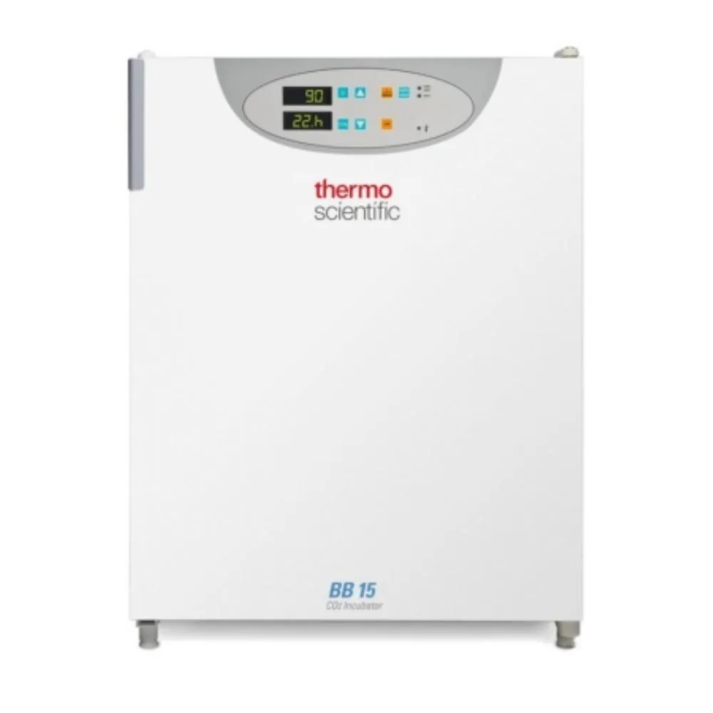 Incubateur CO2 Thermo Scientific BB15 — cuve inox