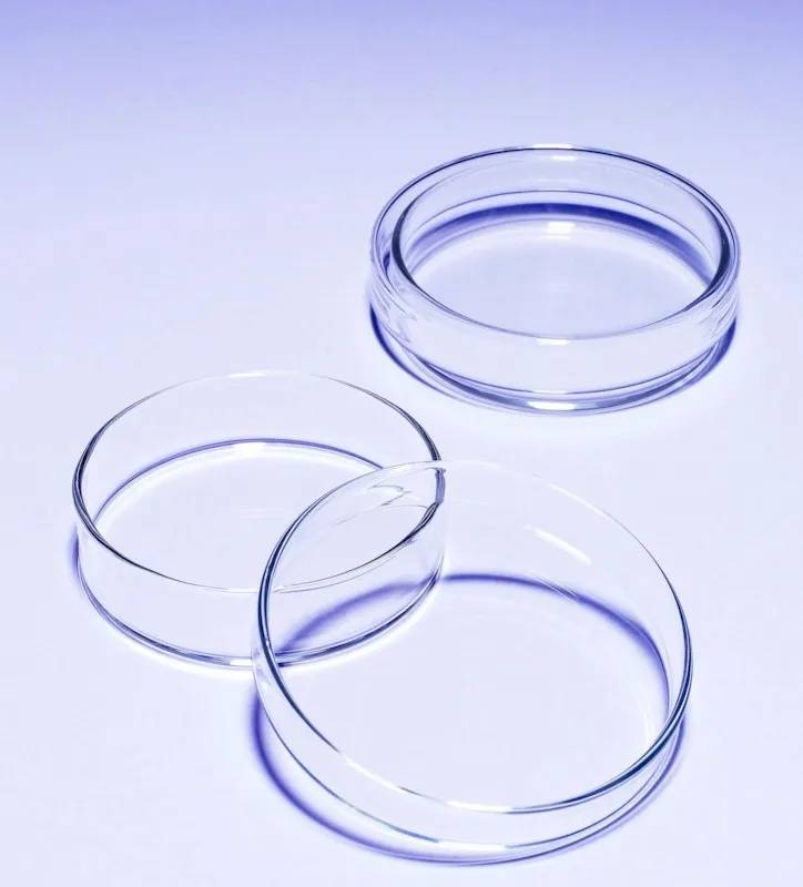 Boîtes de Petri en verre Pyrex, Ø 80 mm — lot de 10