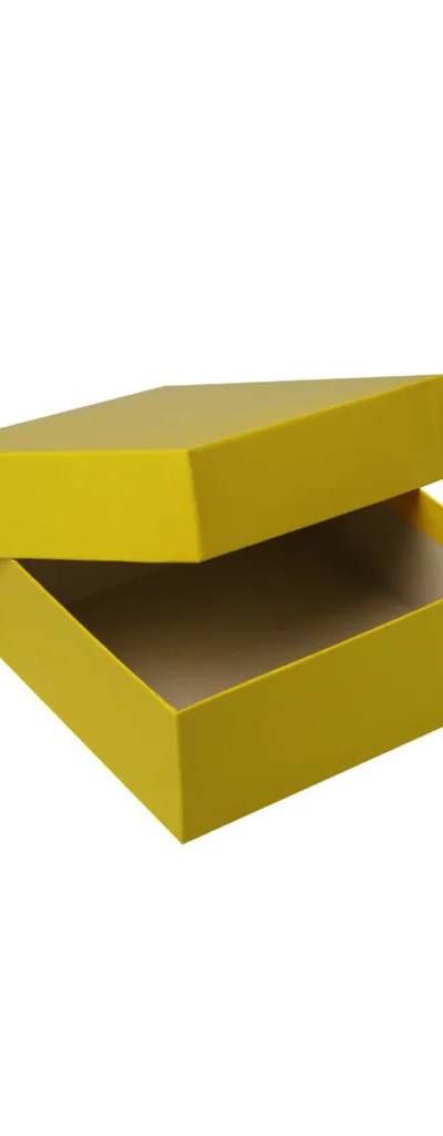 Cryoboîte en carton plastifié jaune, 136 x 136 x 50 mm