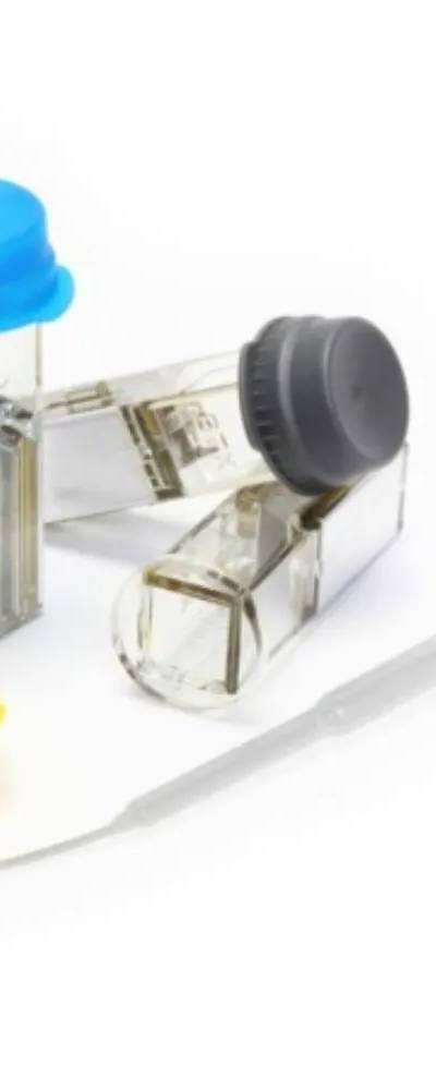 Cuvettes d'électroporation BTX Plus — écart 2 mm, 400 µL, stériles (conditionnement en vrac)