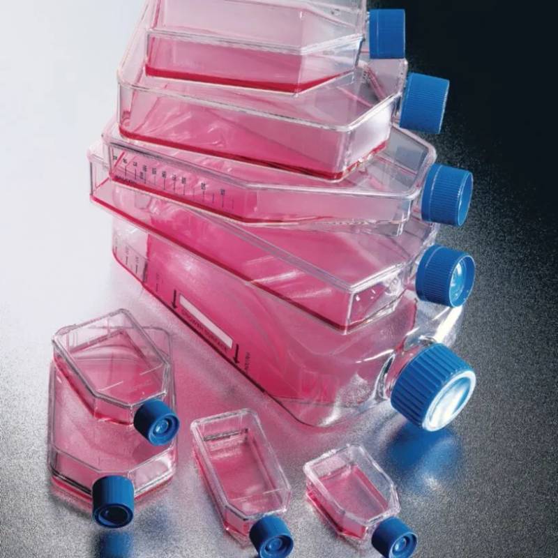 Flacon de culture cellulaire Falcon, 25 mL, stérile — lot de 100 (10 sachets de 10)