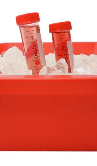 Seau à glace rouge avec couvercle, 4,5 L