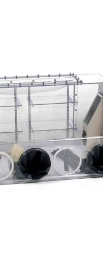 Chambre anaérobie Coy 2 postes, polymère, sans gants, sas de purge automatique, chauffée