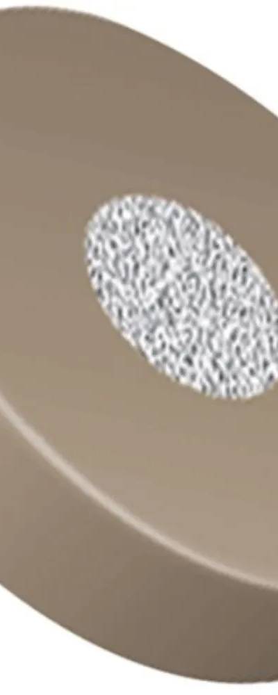 Fritté microfiltre Idex A-700, PEEK, 2 µm, bague PCTFE — Kinesis