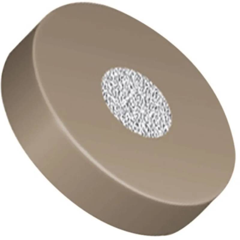 Fritté microfiltre Idex A-700, PEEK, 2 µm, bague PCTFE — Kinesis