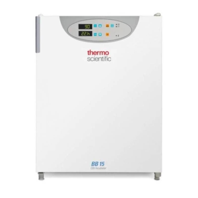 Incubateur CO2 Thermo Scientific BB15 — cuve inox