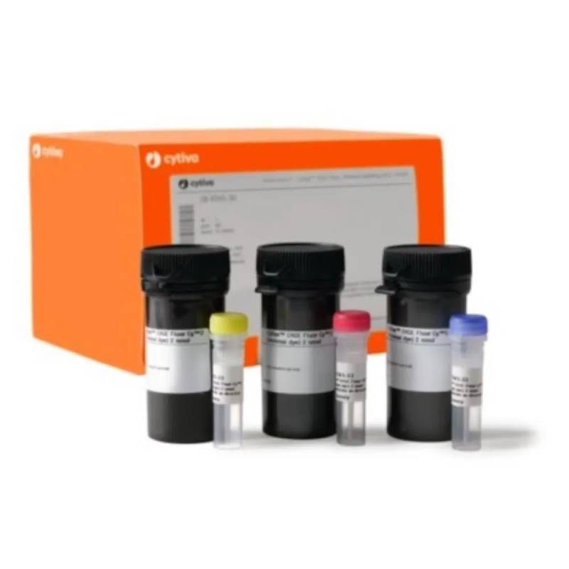 Kit de marquage Amersham CyDye DIGE Fluor pour échantillons limités et gels préparatifs
