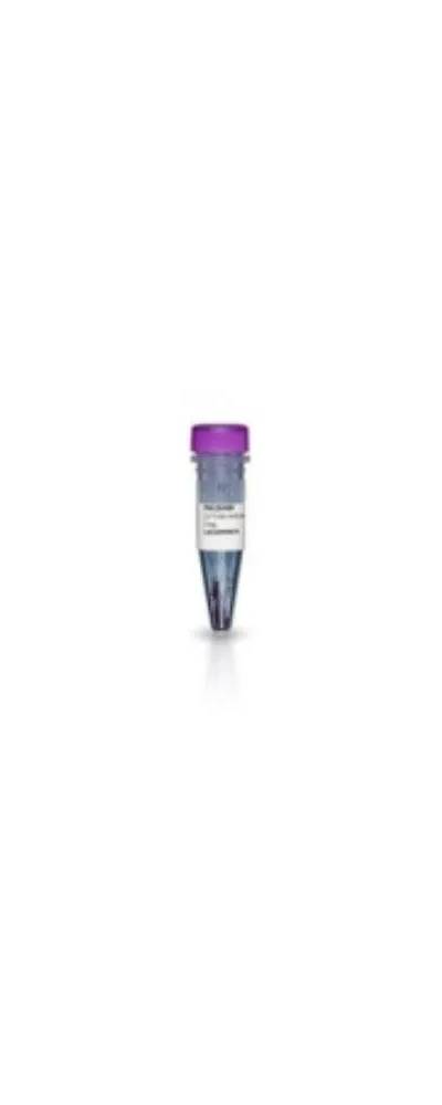 Amersham Cy3 Bis NHS ester, 5 mg