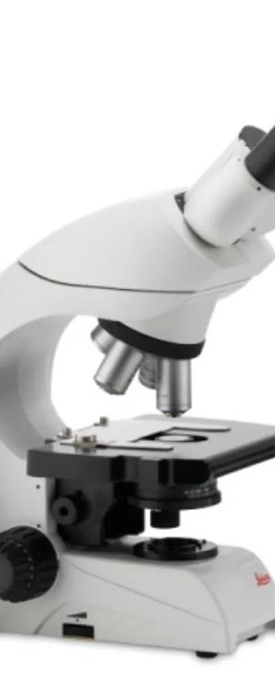 Microscope optique Leica DM500 Système 4 — champ clair et contraste de phase