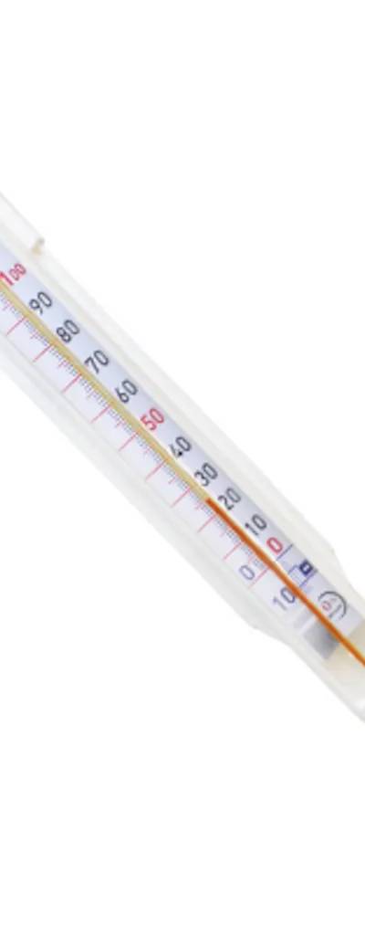 Thermomètre en verre gainé, -10/+120 °C, longueur 350 mm — lot de 5