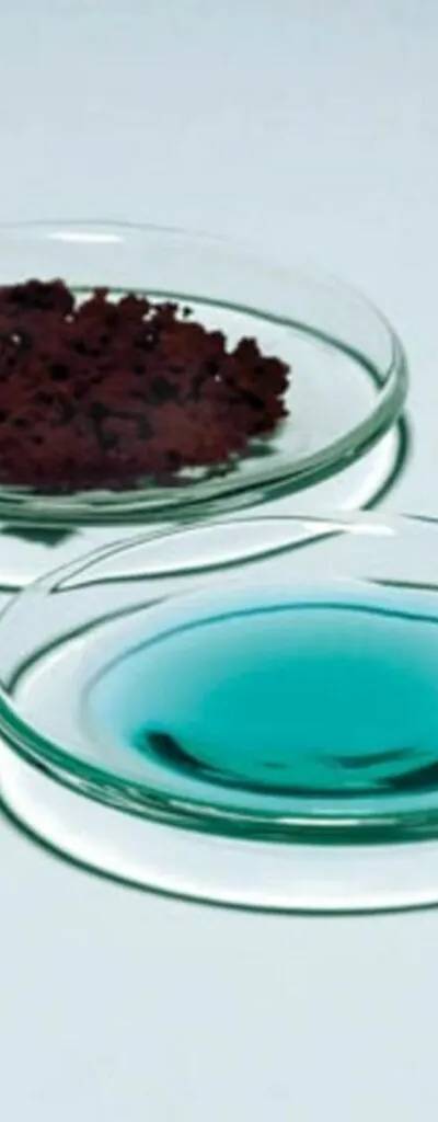 Verre de montre Pyrex Ø 200 mm — lot de 10
