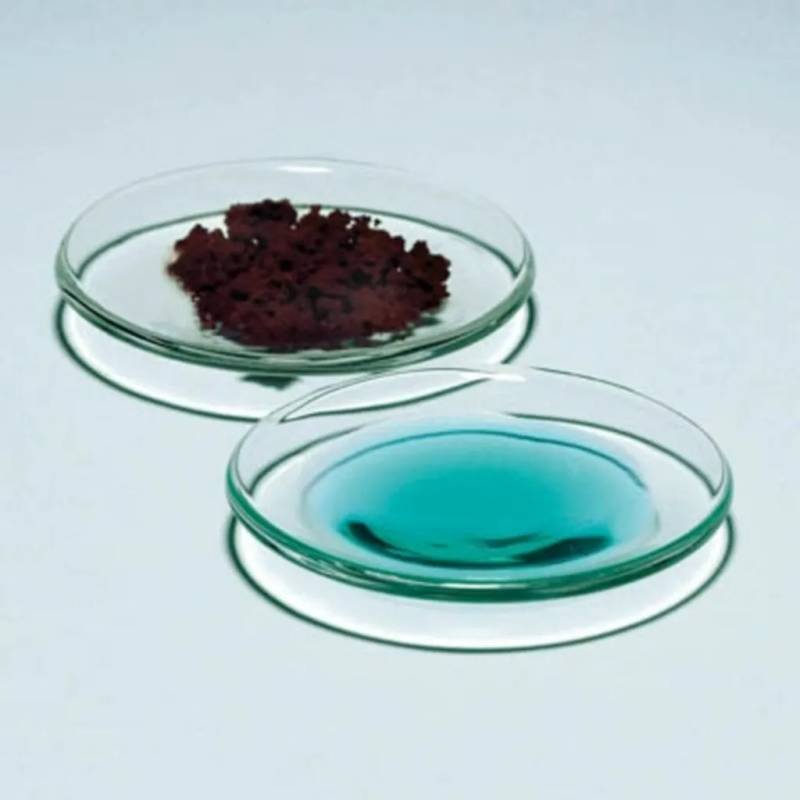 Verre de montre Pyrex Ø 200 mm — lot de 10
